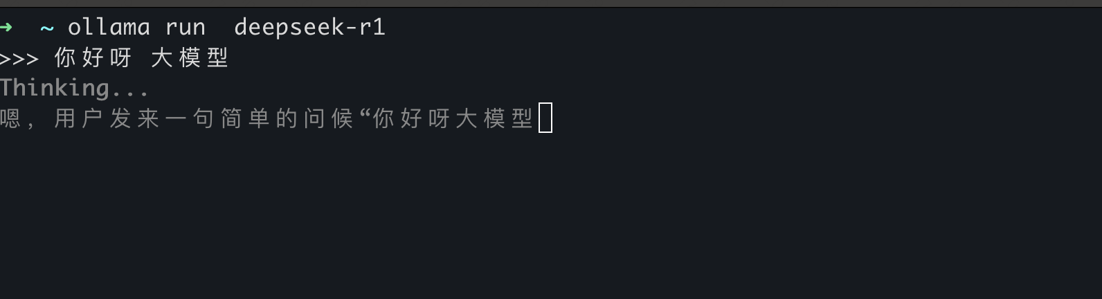模型启动