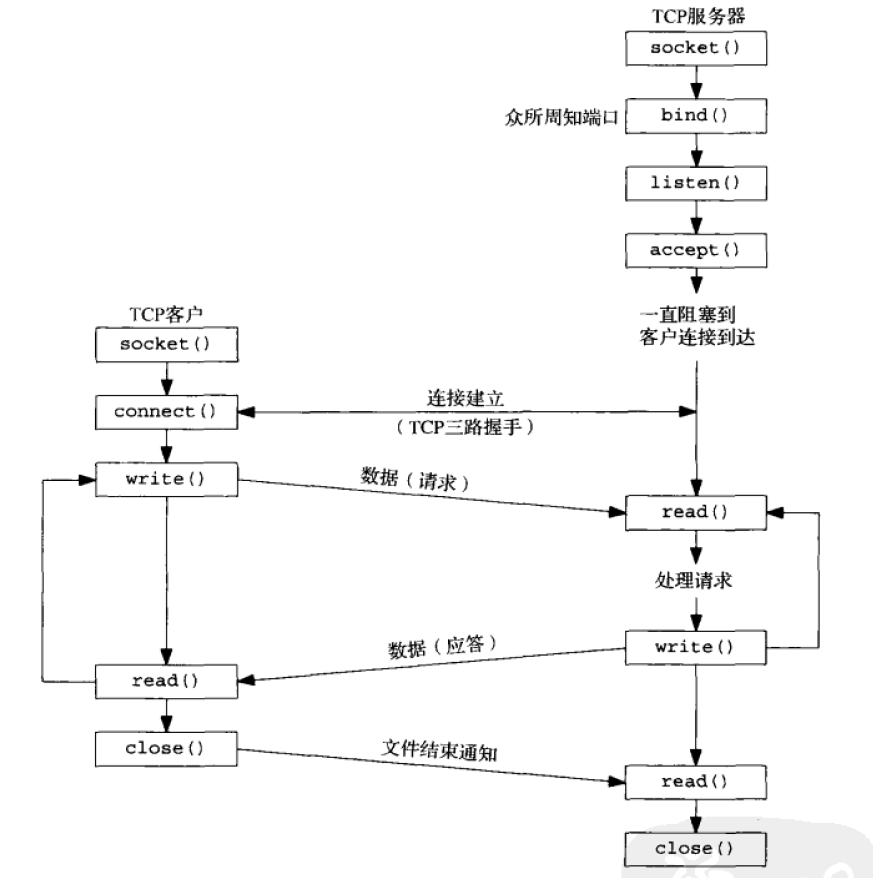 套接字基础api